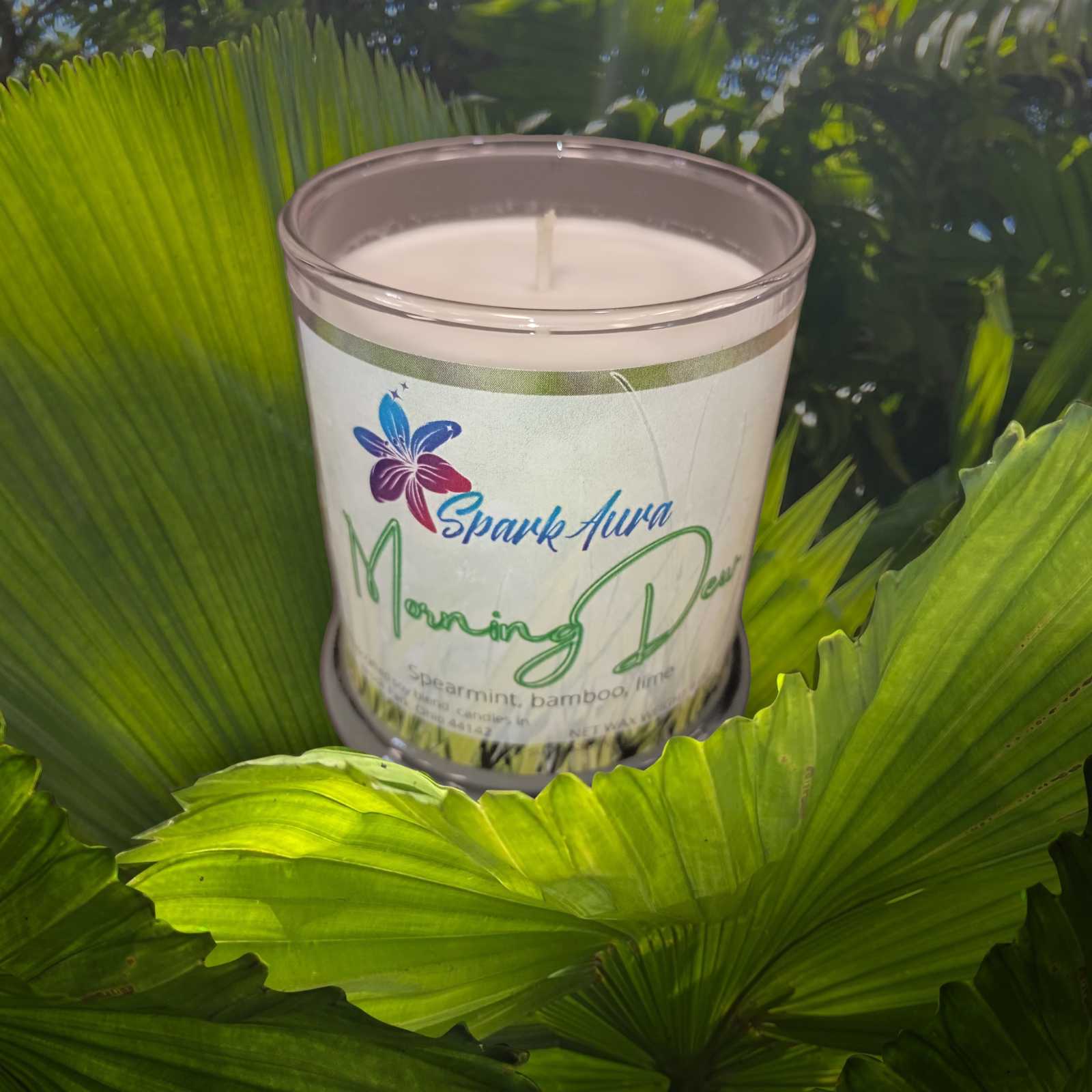 Morning Dew-Australian Bamboo Grass scented Candle. Spark Aura Candles & Wax Melts Candle 15